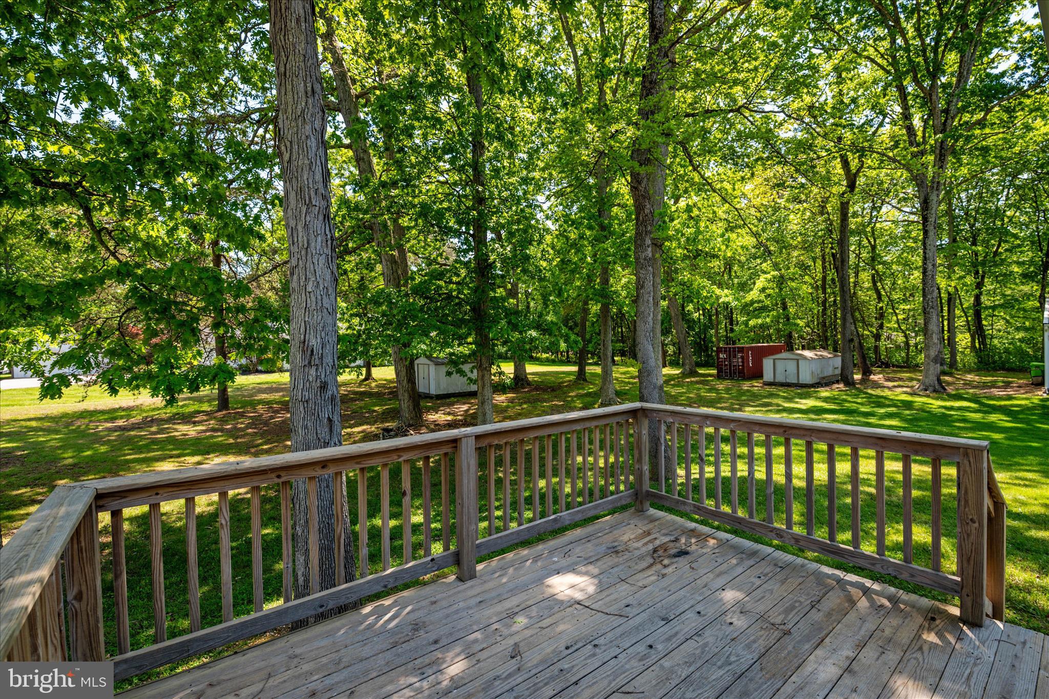 117 Rebel Road Grasonville, MD 21638 - Photo 28 of 46 Mature trees surround backyard