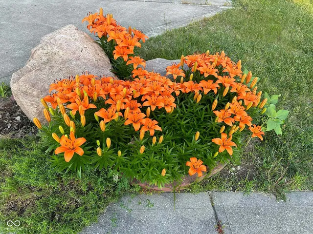 $500,000 | 10747 Red Pine Drive, Fishers, IN 46037