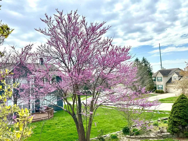 $500,000 | 10747 Red Pine Drive, Fishers, IN 46037