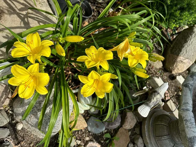 $500,000 | 10747 Red Pine Drive, Fishers, IN 46037