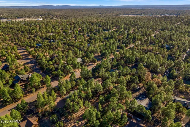 $540,000 | 2202 Forest Park Drive, Overgaard, AZ 85933