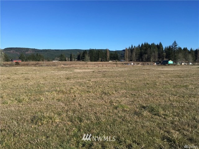 3291 King Road Chehalis, WA 98532 - Photo 3 of 9