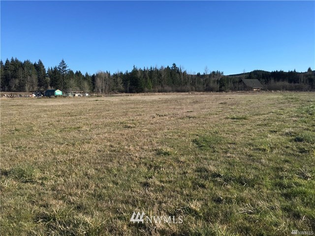3291 King Road Chehalis, WA 98532 - Photo 4 of 9