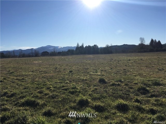 3291 King Road Chehalis, WA 98532 - Photo 5 of 9