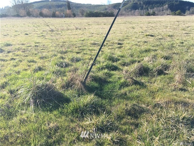 3291 King Road Chehalis, WA 98532 - Photo 8 of 9