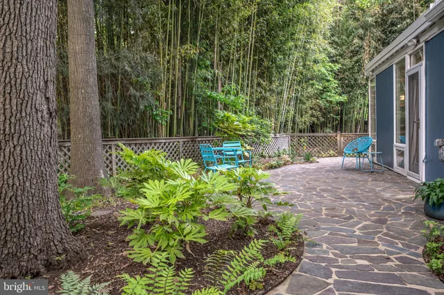 a backyard of a house with lots of green space