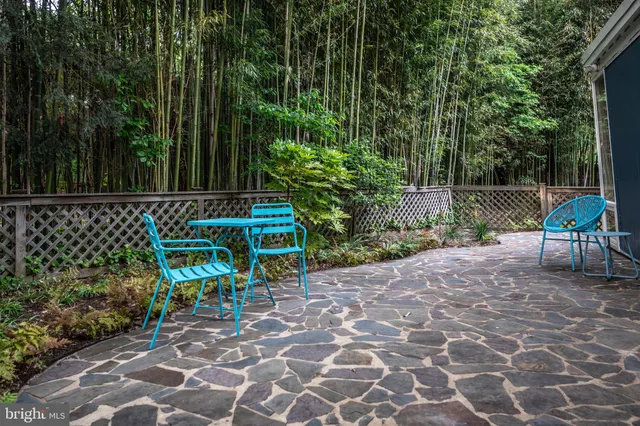 a view of a chair and table in the garden