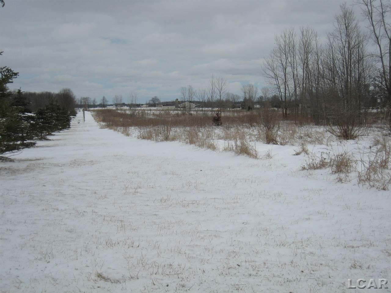 8900 Shepherd Road Onsted, MI 49265 - Photo 34 of 34 Access from Springville