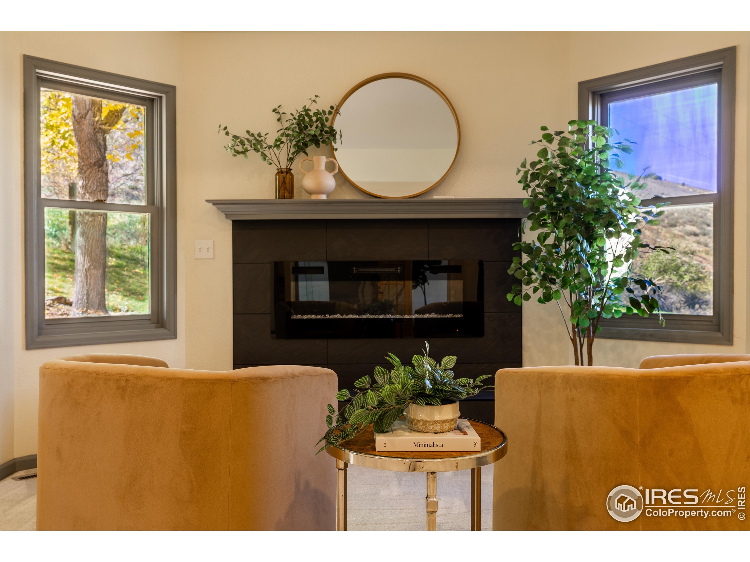6465 Hidden Springs Road Fort Collins, CO 80526 - Photo 24 of 50 a living room with furniture a potted plant and a fireplace