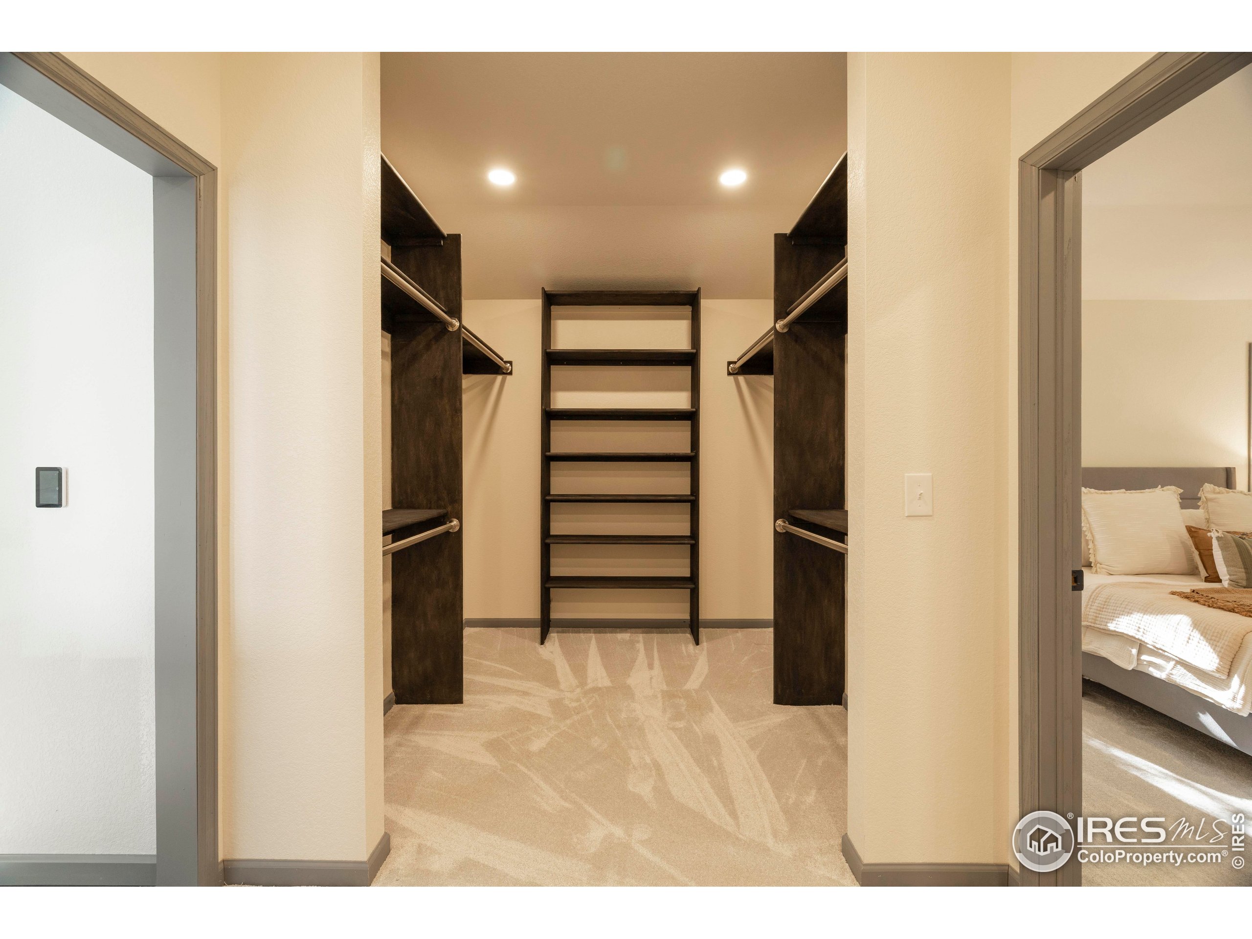 6465 Hidden Springs Road Fort Collins, CO 80526 - Photo 28 of 50 a view of walk in closet with clothes and shoes