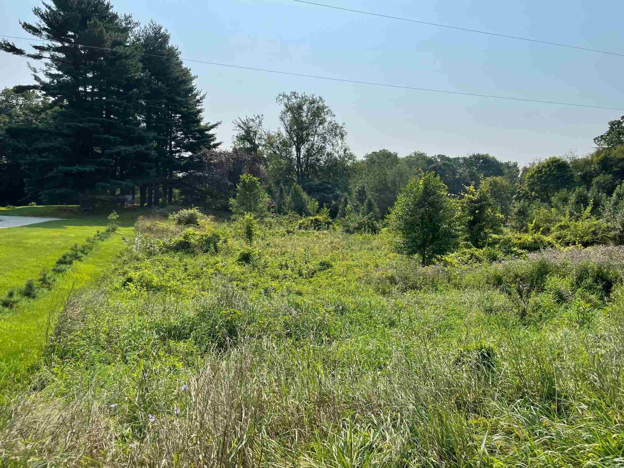 51754 Quince Road South Bend, IN 46628 - Photo 2 of 9 Gallery Image 2