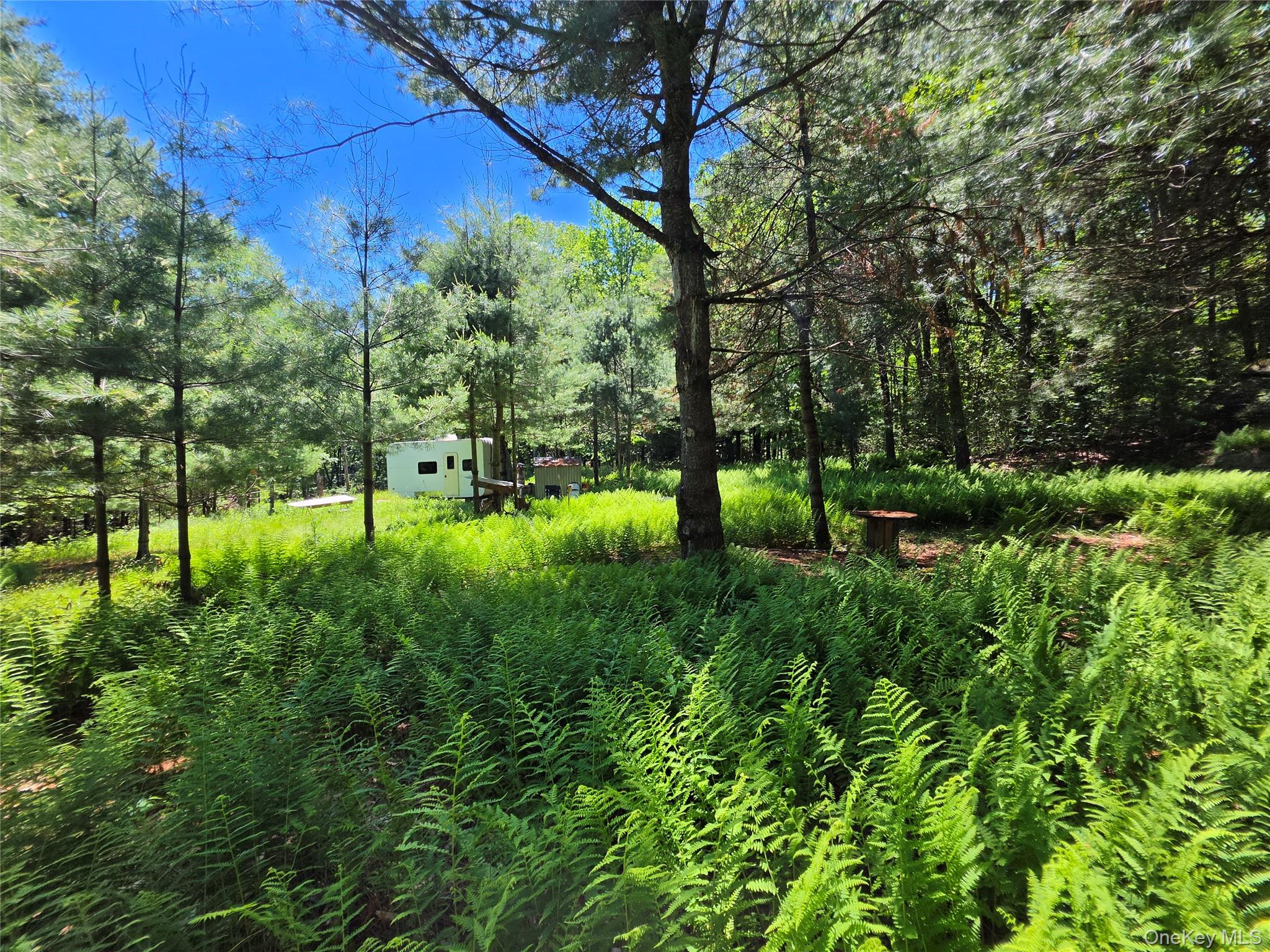 Tbd Camp Kennybrook Road Monticello, NY 12701 - Photo 21 of 34