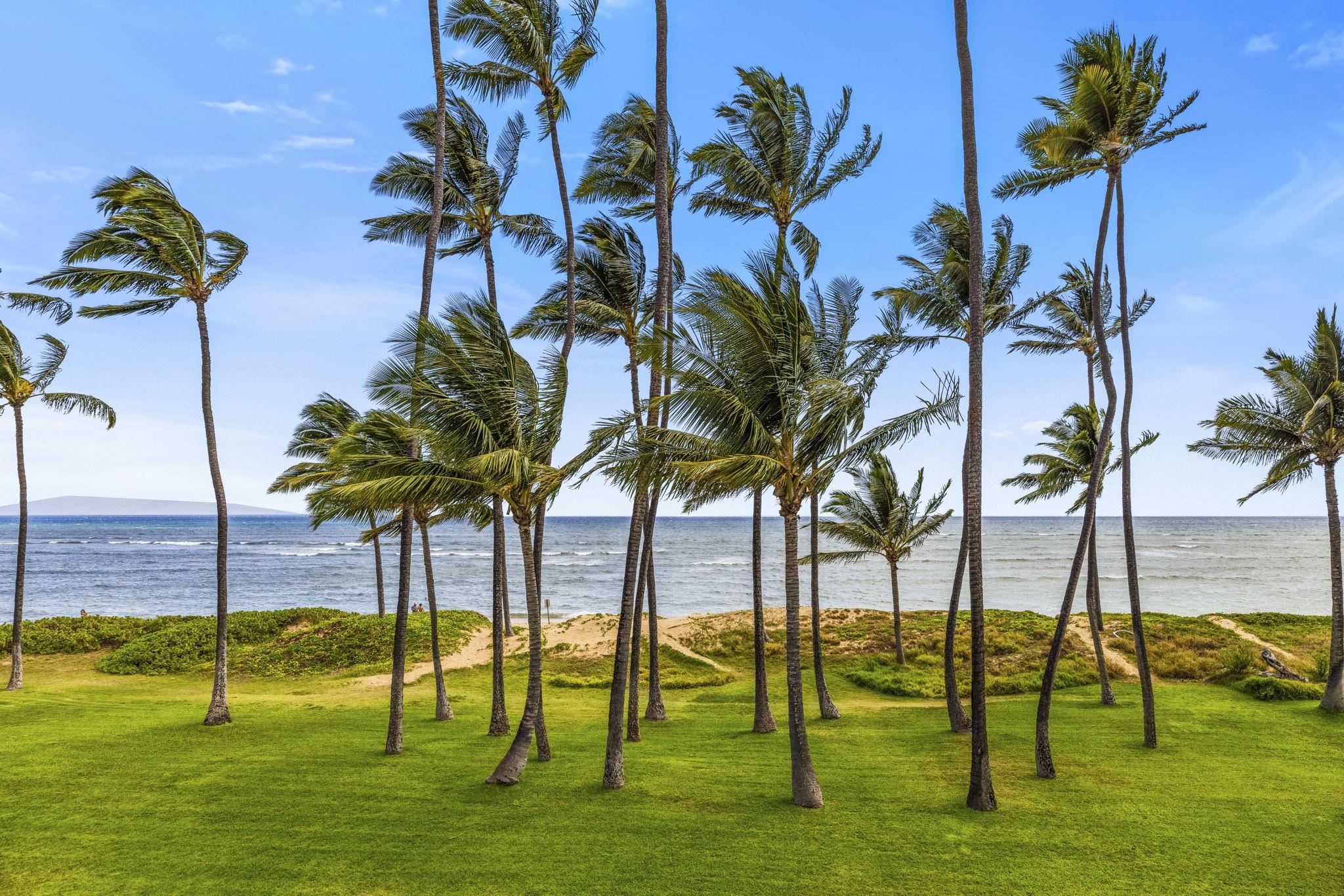 1310 Uluniu Road, Unit 317 Kihei, HI 96753 - Photo 17 of 50 a view of three swimming pool