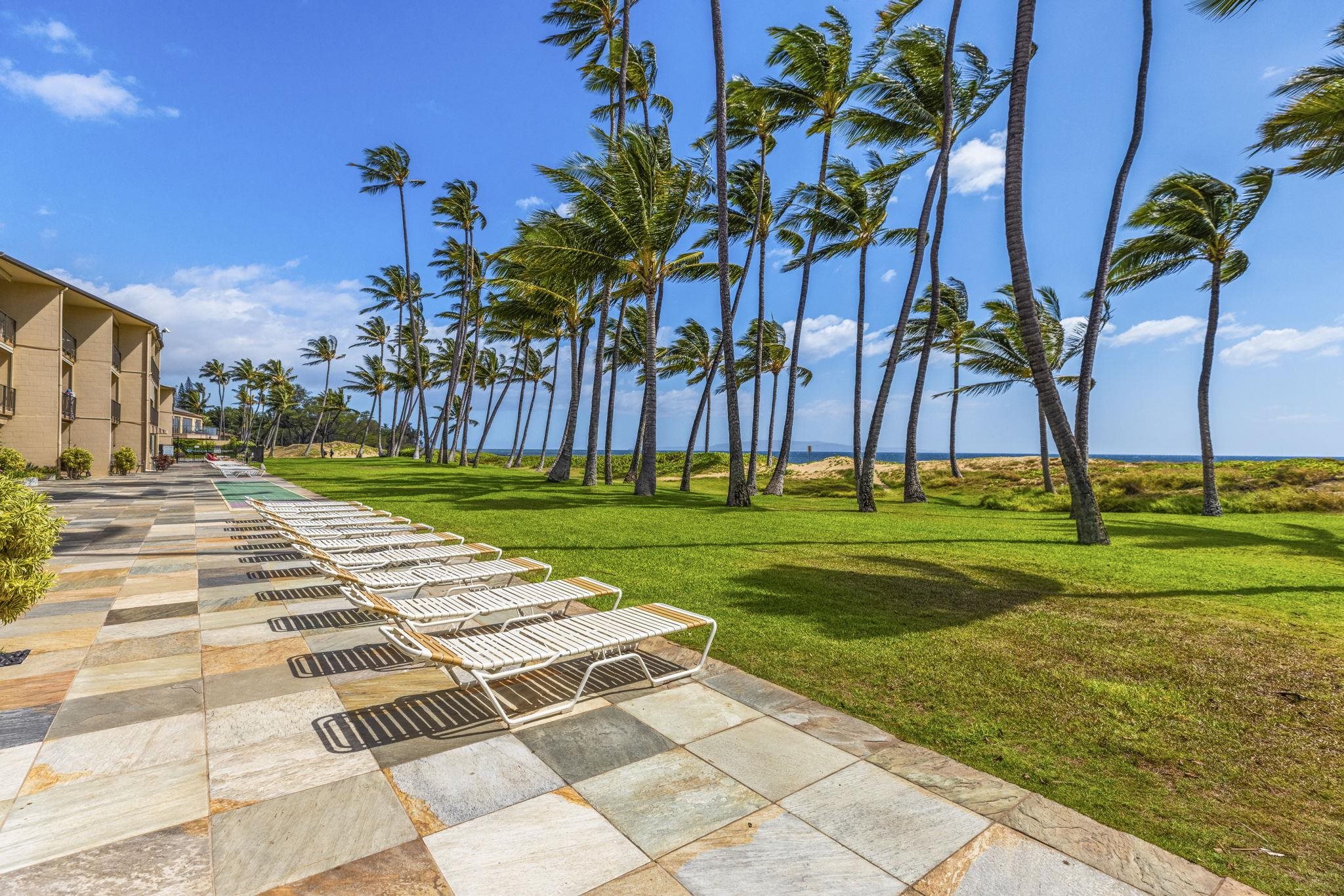 1310 Uluniu Road, Unit 317 Kihei, HI 96753 - Photo 35 of 50 a view of a park