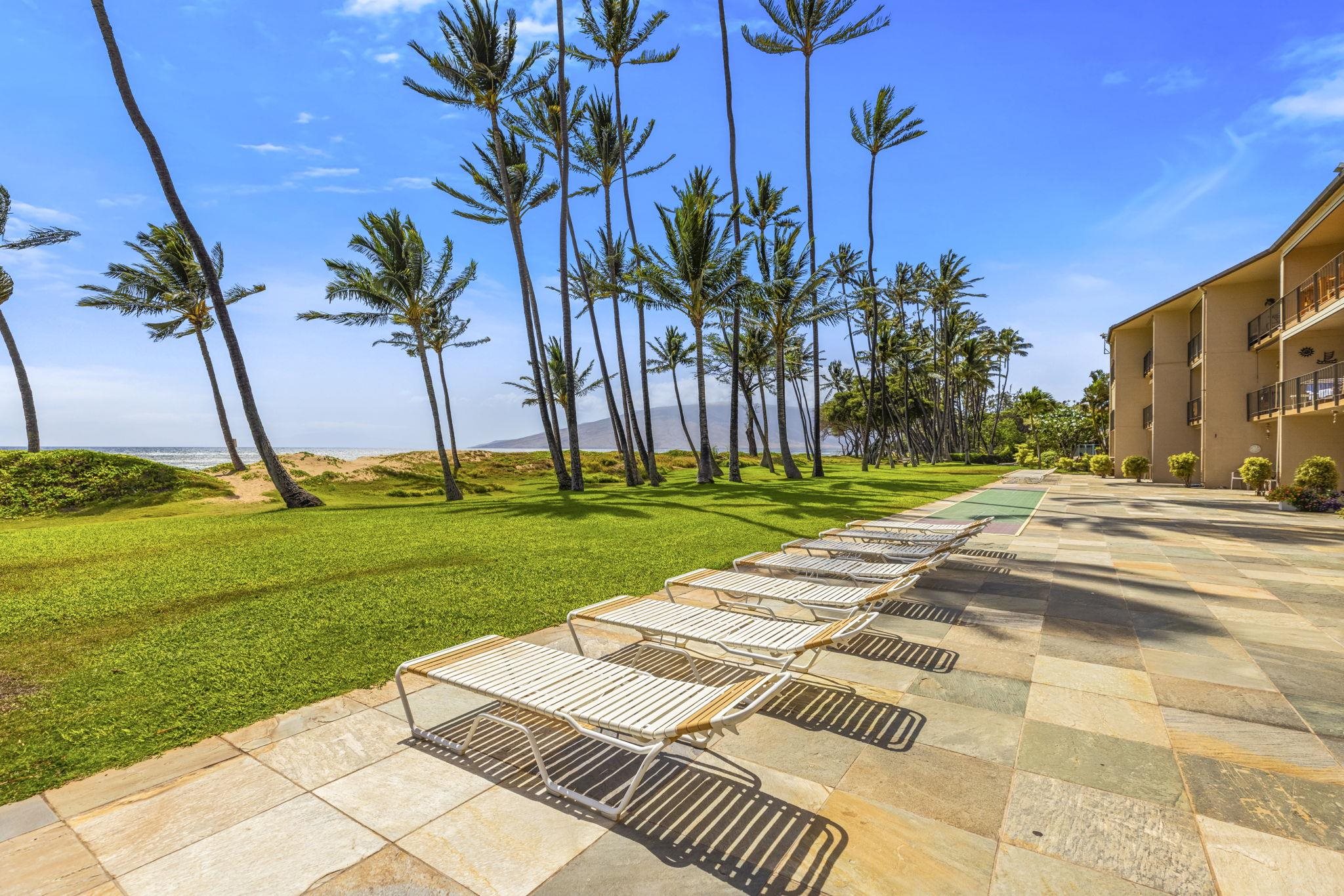 1310 Uluniu Road, Unit 317 Kihei, HI 96753 - Photo 36 of 50 a view of a volley ball court