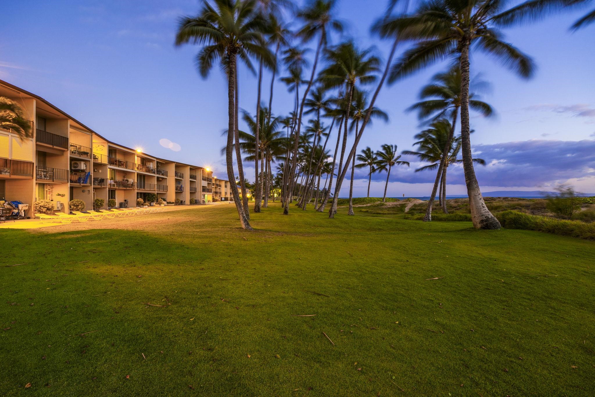 1310 Uluniu Road, Unit 317 Kihei, HI 96753 - Photo 41 of 50 a view of a yard in front of a building