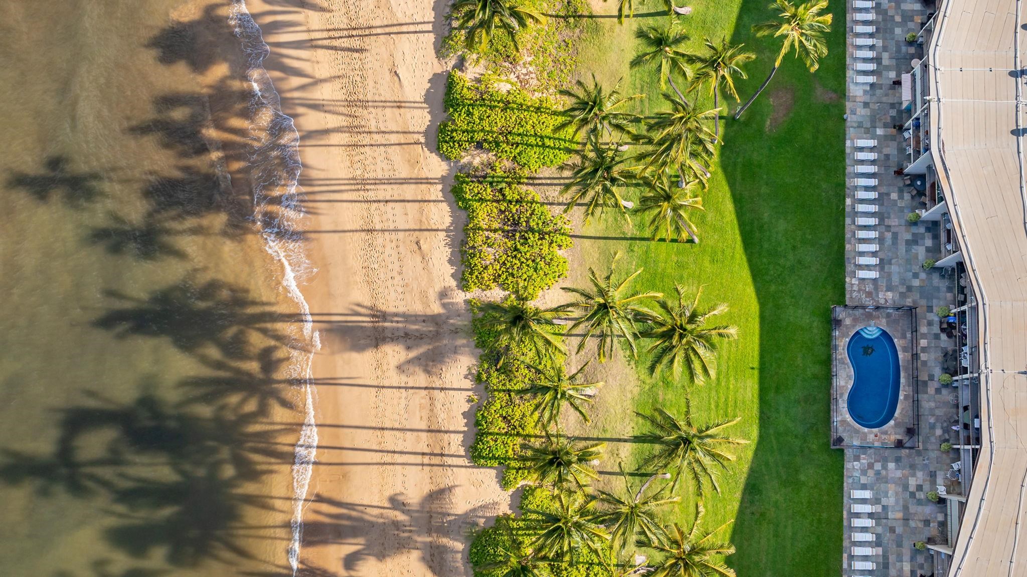 1310 Uluniu Road, Unit 317 Kihei, HI 96753 - Photo 44 of 50 a close view of a door in front of door