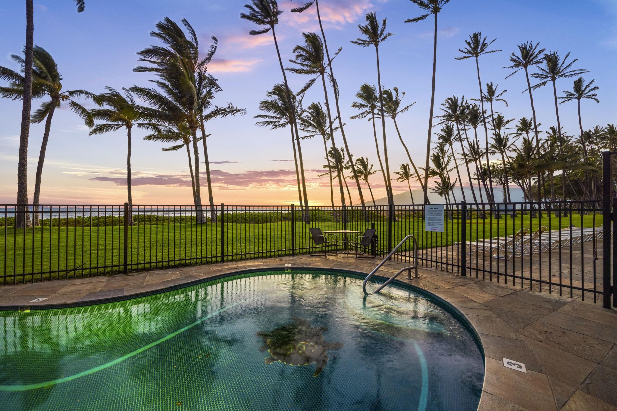 1310 Uluniu Road, Unit 317 Kihei, HI 96753 - Photo 46 of 50 a view of a backyard