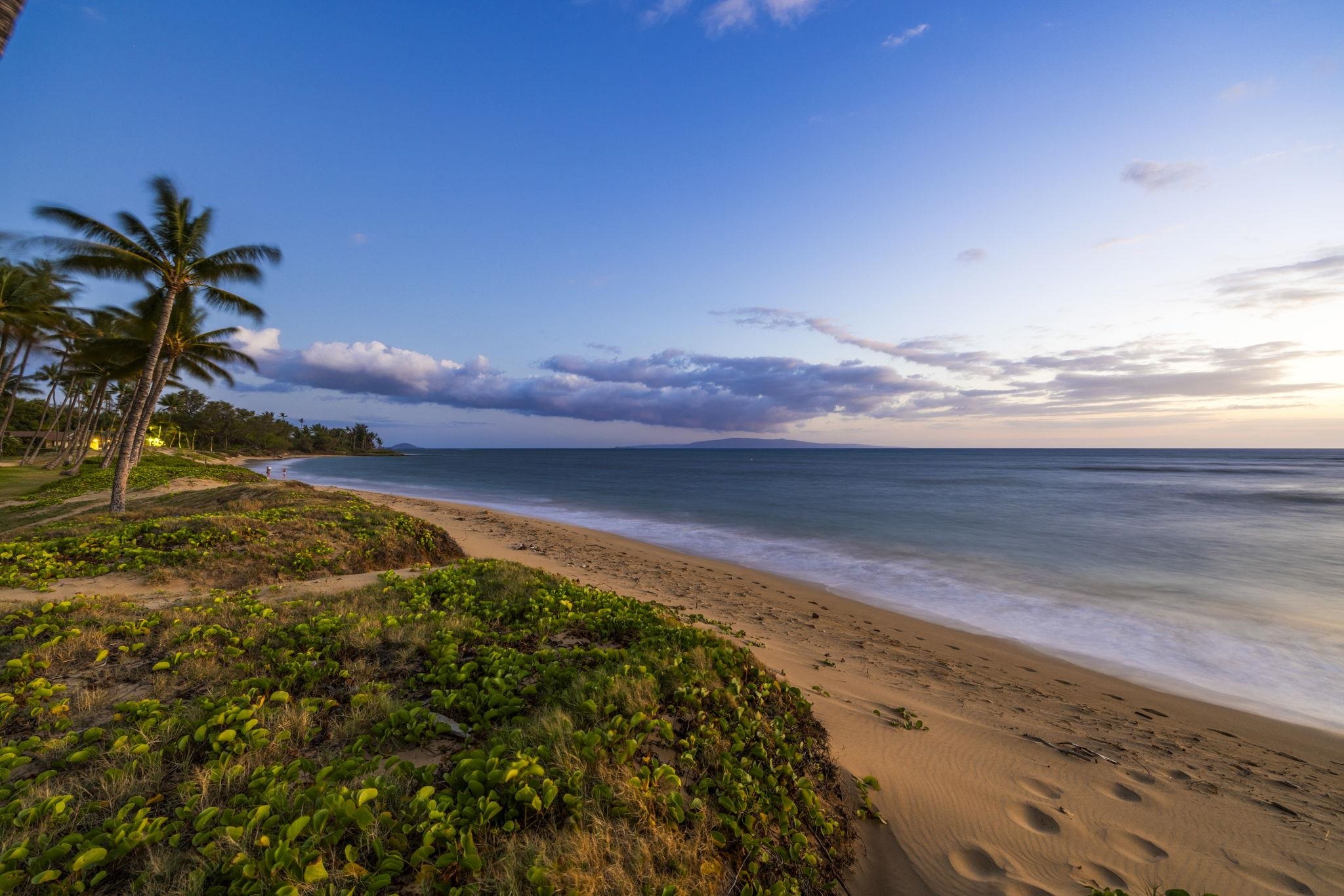 1310 Uluniu Road, Unit 317 Kihei, HI 96753 - Photo 48 of 50 a view of a yard with an ocean
