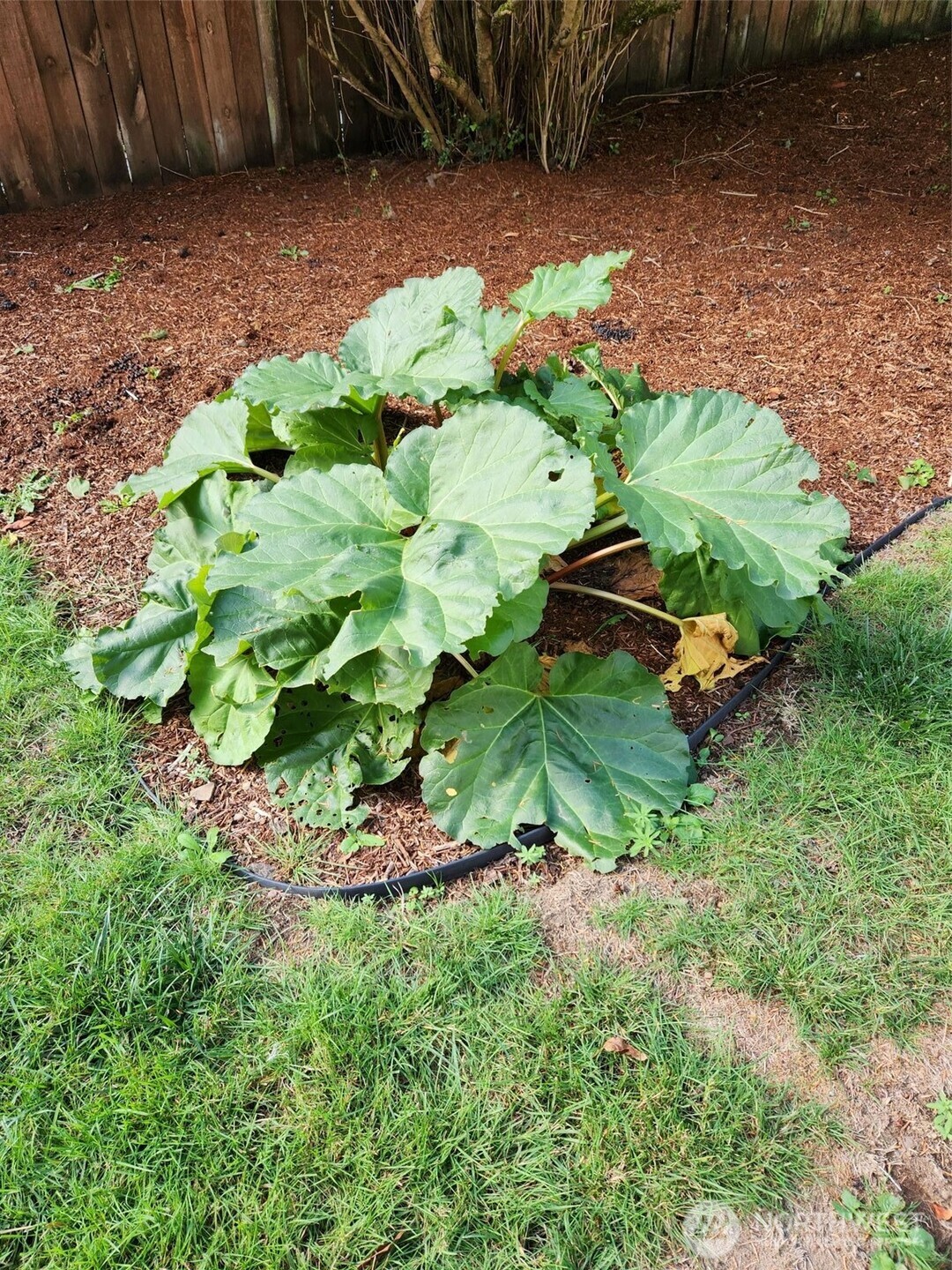 181 East Dabob Road Shelton, WA 98584 - Photo 39 of 39