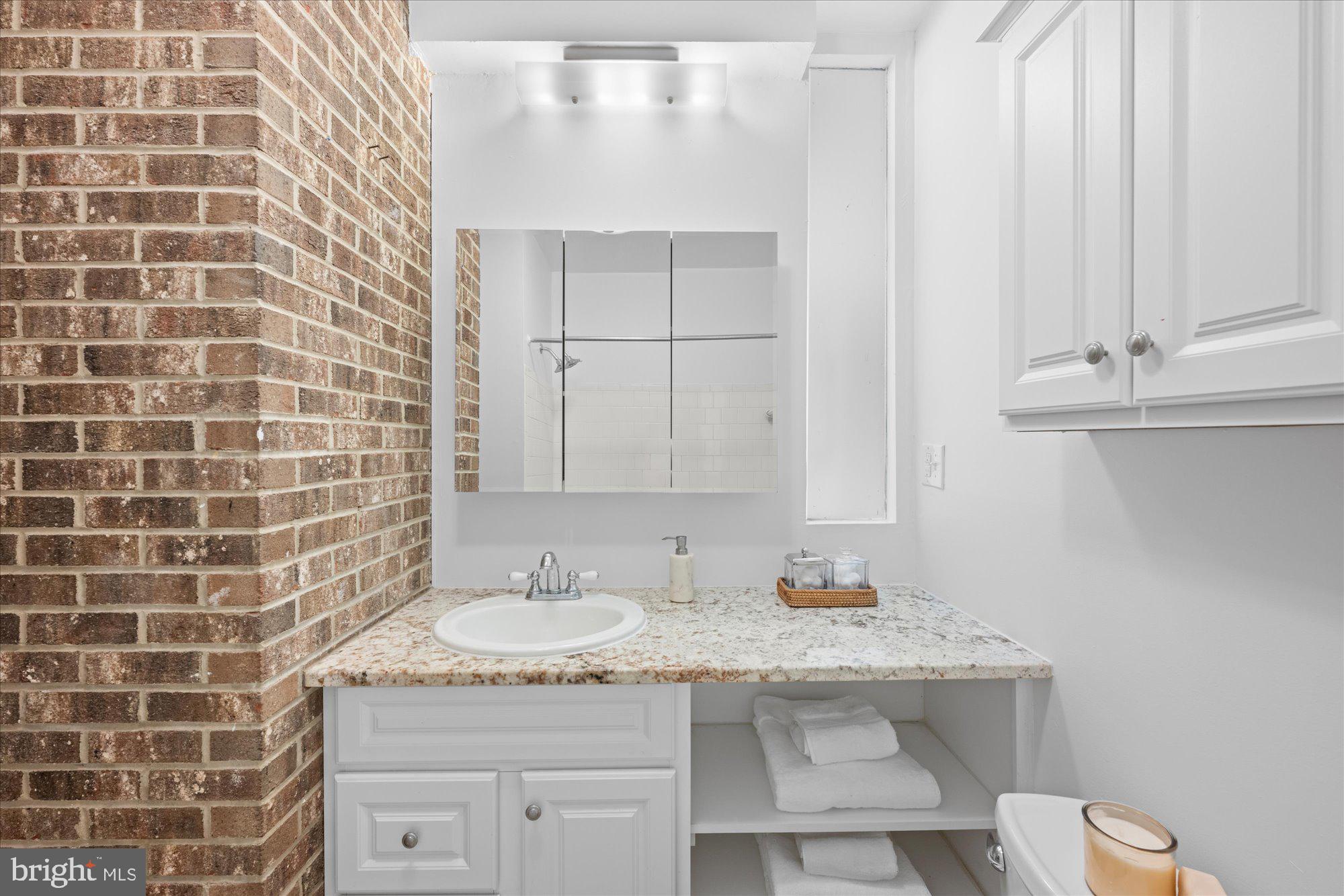 108 14th Street Southeast Washington, DC 20003 - Photo 12 of 18 En-Suite Primary Bathroom