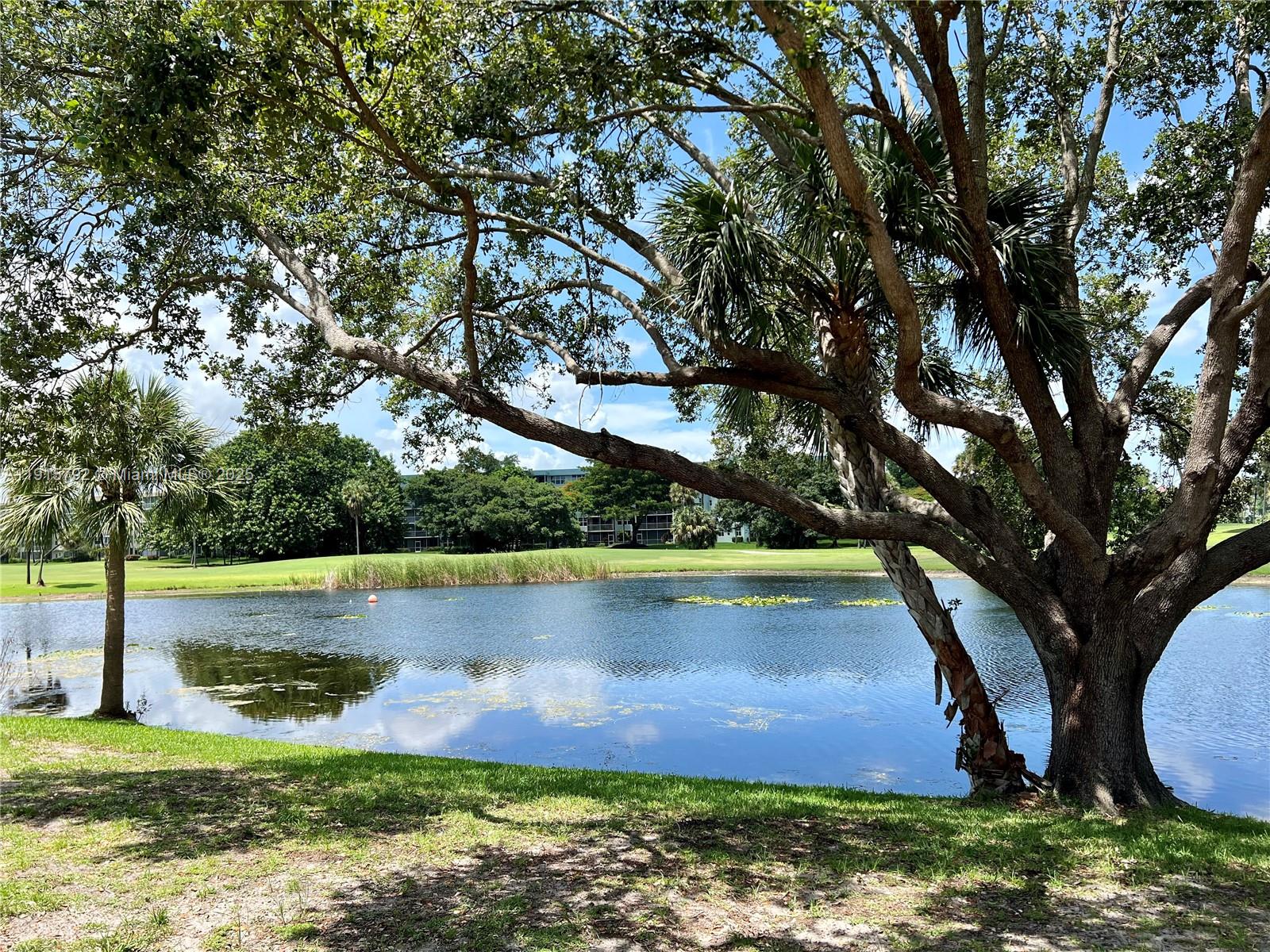 4561 West McNab Road, Unit 16 Pompano Beach, FL 33069 - Photo 11 of 14 a view of yard with large trees