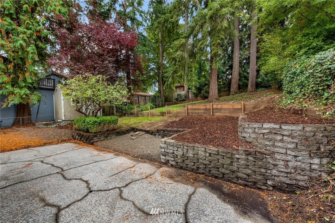 11519 32nd Avenue Northeast Seattle, WA 98125 - Photo 14 of 17 a view of a backyard with large trees