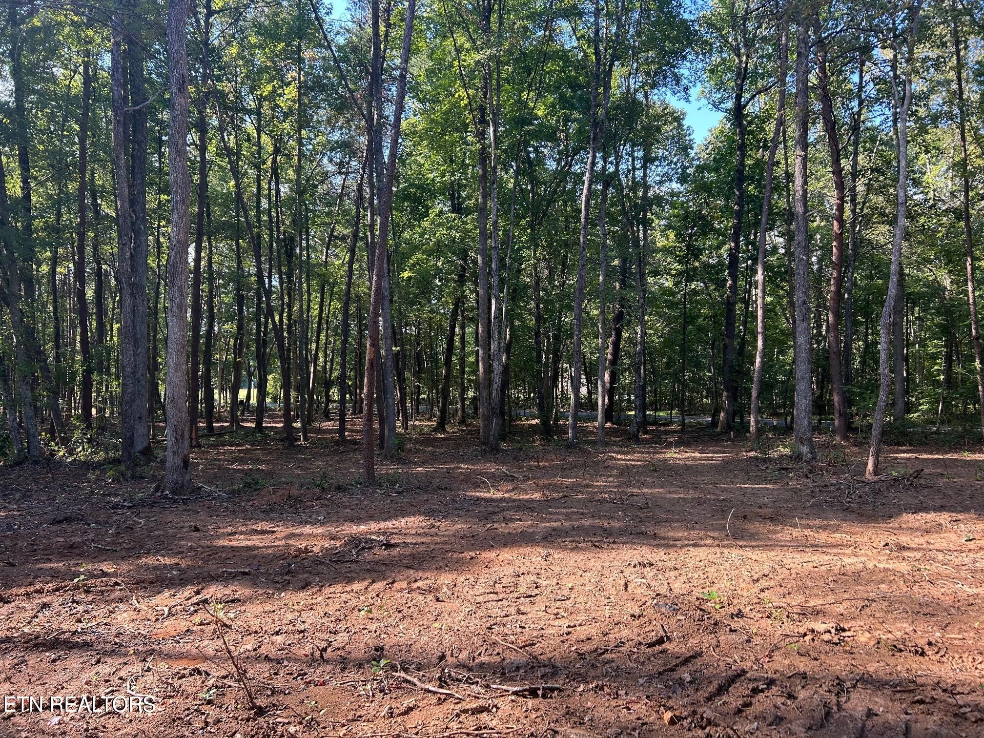 6 Pleasant Hill Road Ten Mile, TN 37880 - Photo 2 of 11