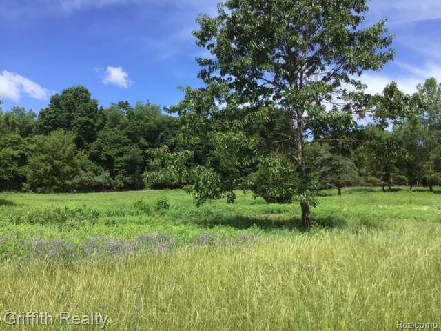 1 East Coon Lake Road Howell, MI 48843 - Photo 2 of 4