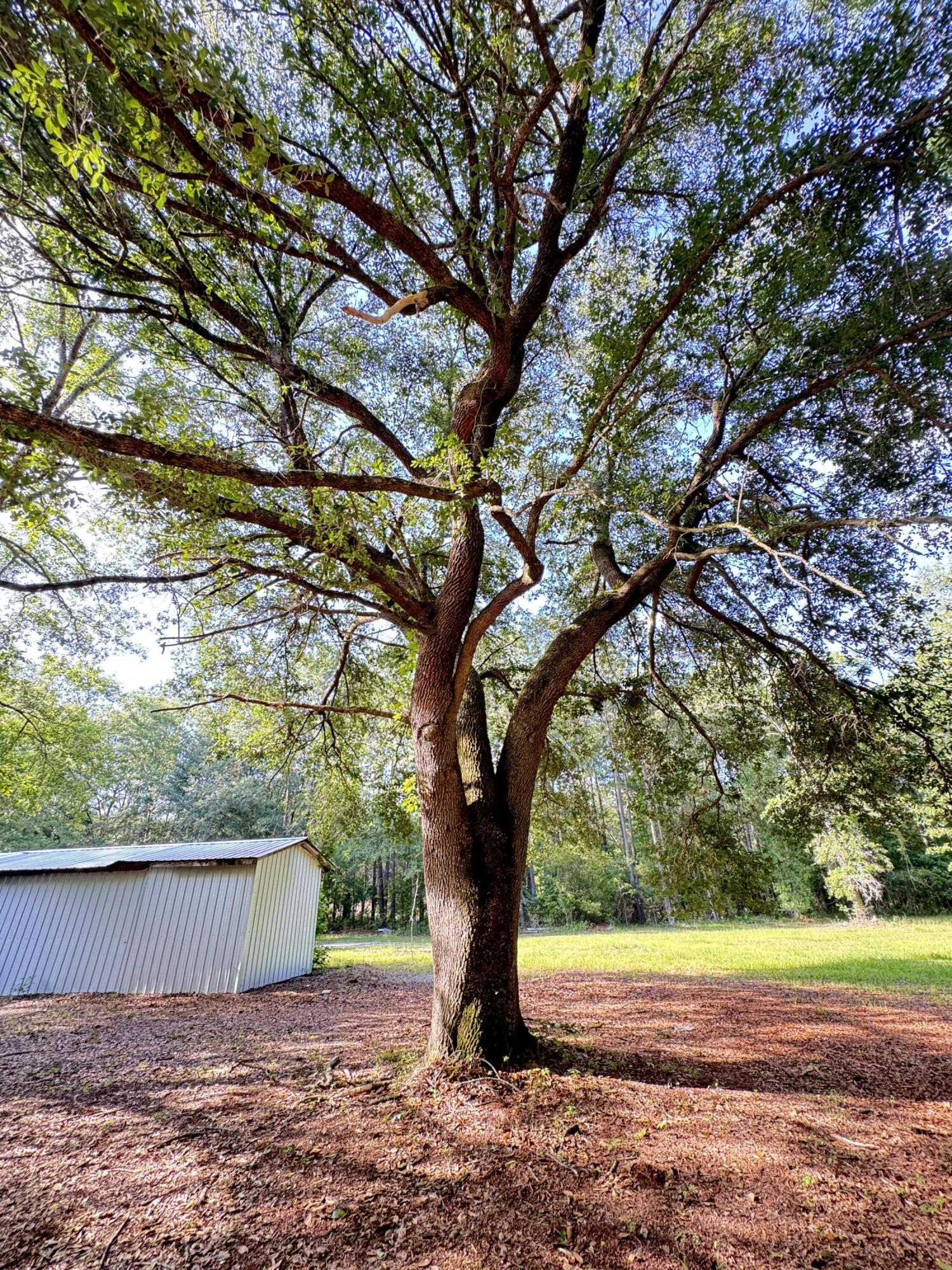 3486 Rehoboth Road Cottageville, SC 29435 - Photo 83 of 96