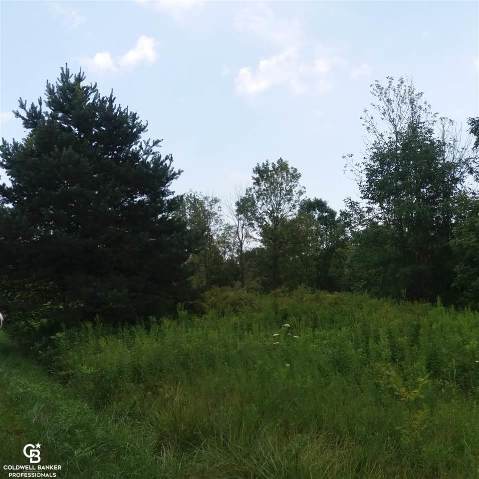 0 Rattle Run Columbus, MI 48063 - Photo 5 of 8