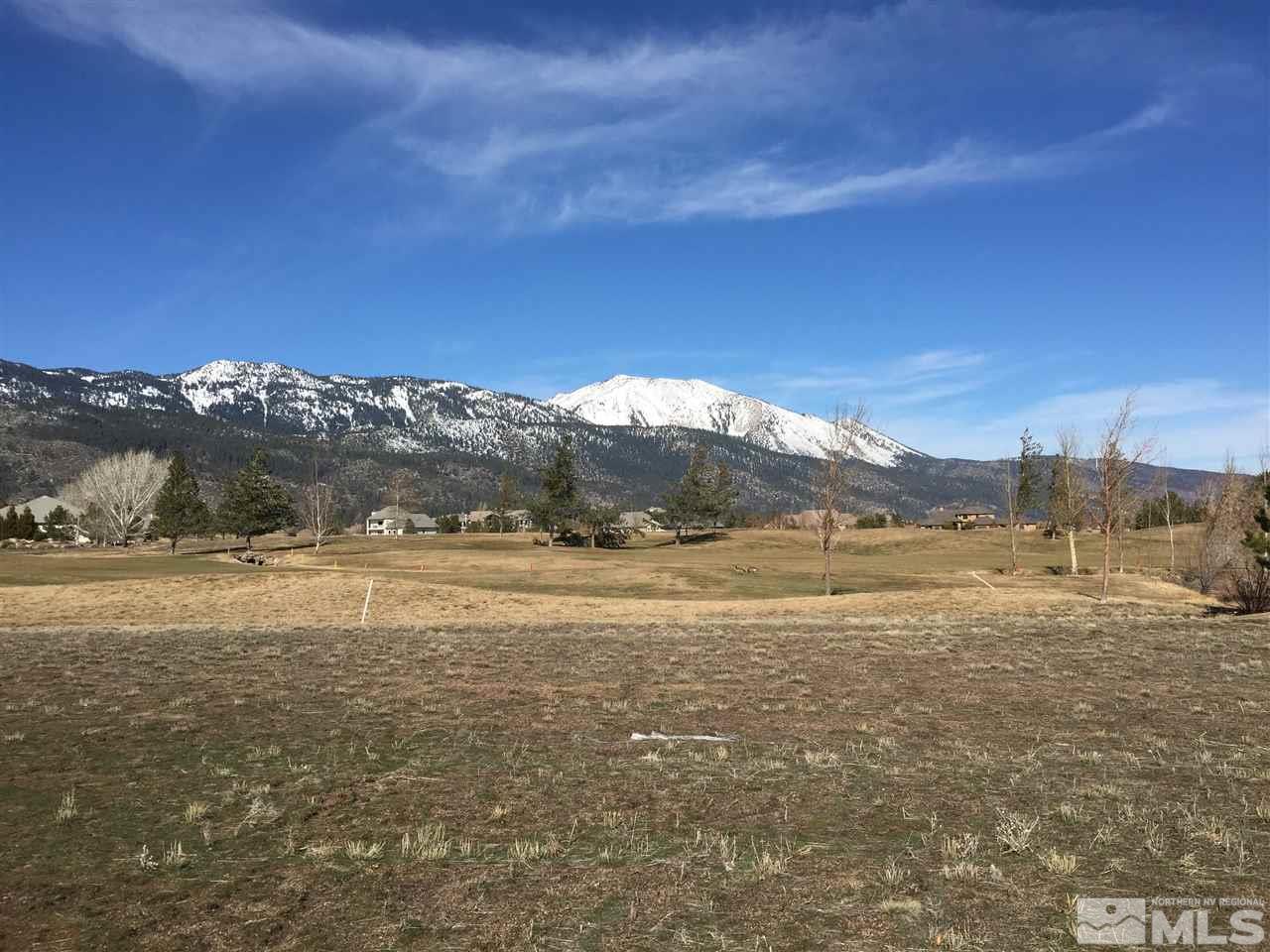 44 West Lightning W Ranch Road Washoe Valley, NV 89704 - Photo 1 of 1 Photo 1
