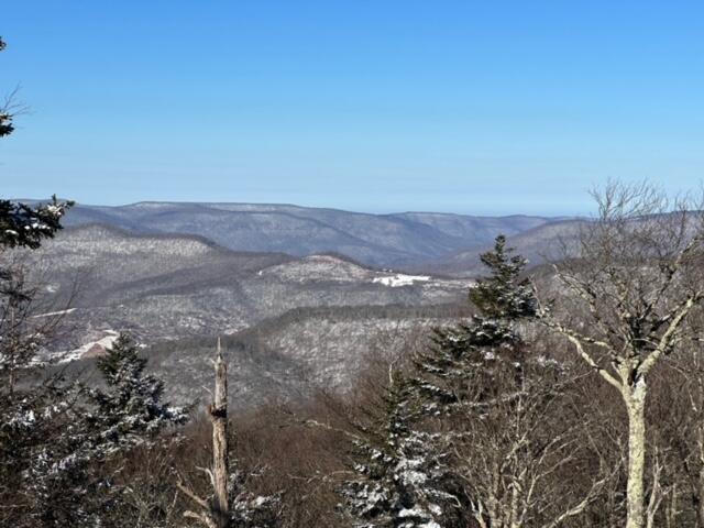 108 A Summit Road Snowshoe, WV 26209 - Photo 2 of 27 Gallery Image 2