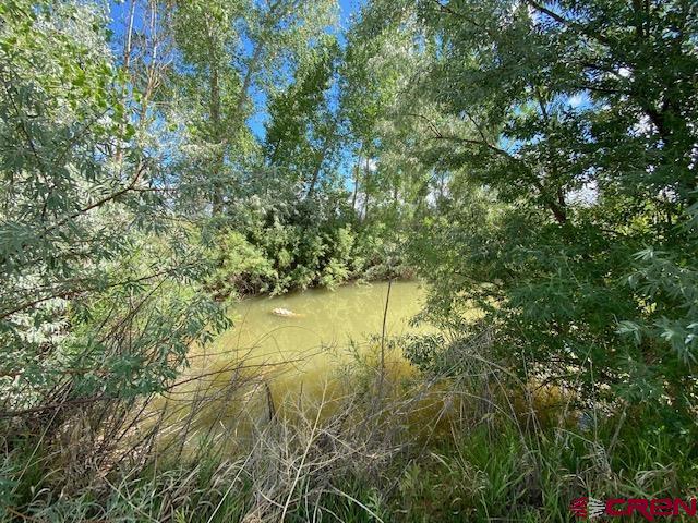 24502 Rd North Cortez, CO 81321 - Photo 23 of 35 a view of lake with green space