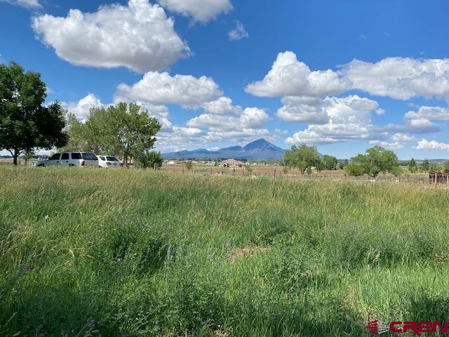 24502 Rd North Cortez, CO 81321 - Photo 24 of 35 a view of a city