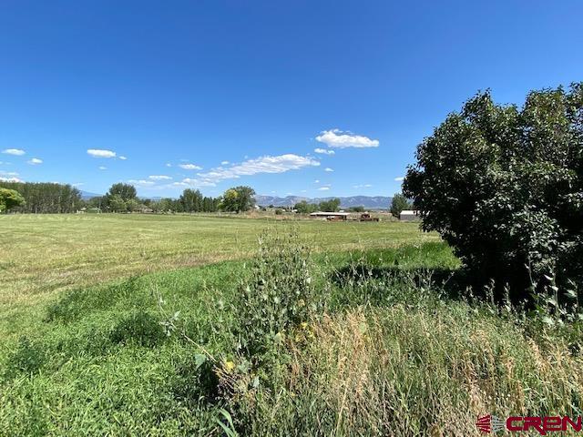24502 Rd North Cortez, CO 81321 - Photo 30 of 35 a view of a lush green space