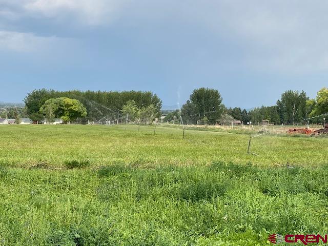 24502 Rd North Cortez, CO 81321 - Photo 31 of 35 a view of a field with grass space and trees in the background