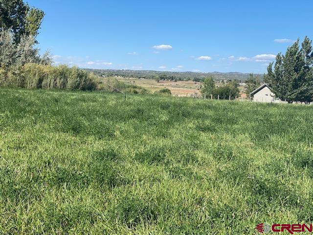 24502 Rd North Cortez, CO 81321 - Photo 32 of 35 a view of an outdoor space and a yard