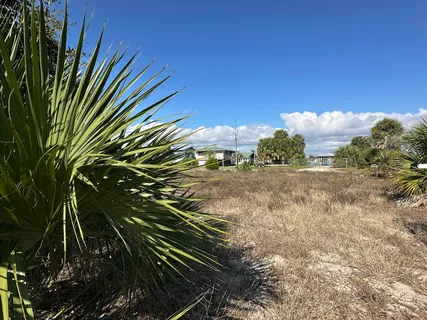 a view of a yard with a house