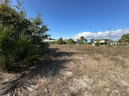 a view of a dry yard with trees
