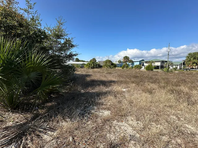a view of a dry yard with trees