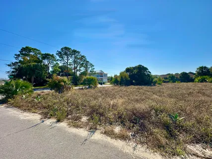 a view of a field with some trees in it