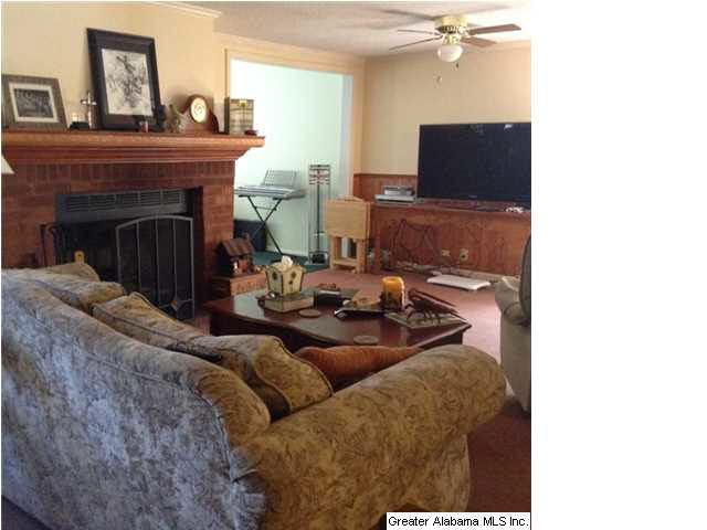 8375 Zuber Road Springville, AL 35146 - Photo 5 of 22