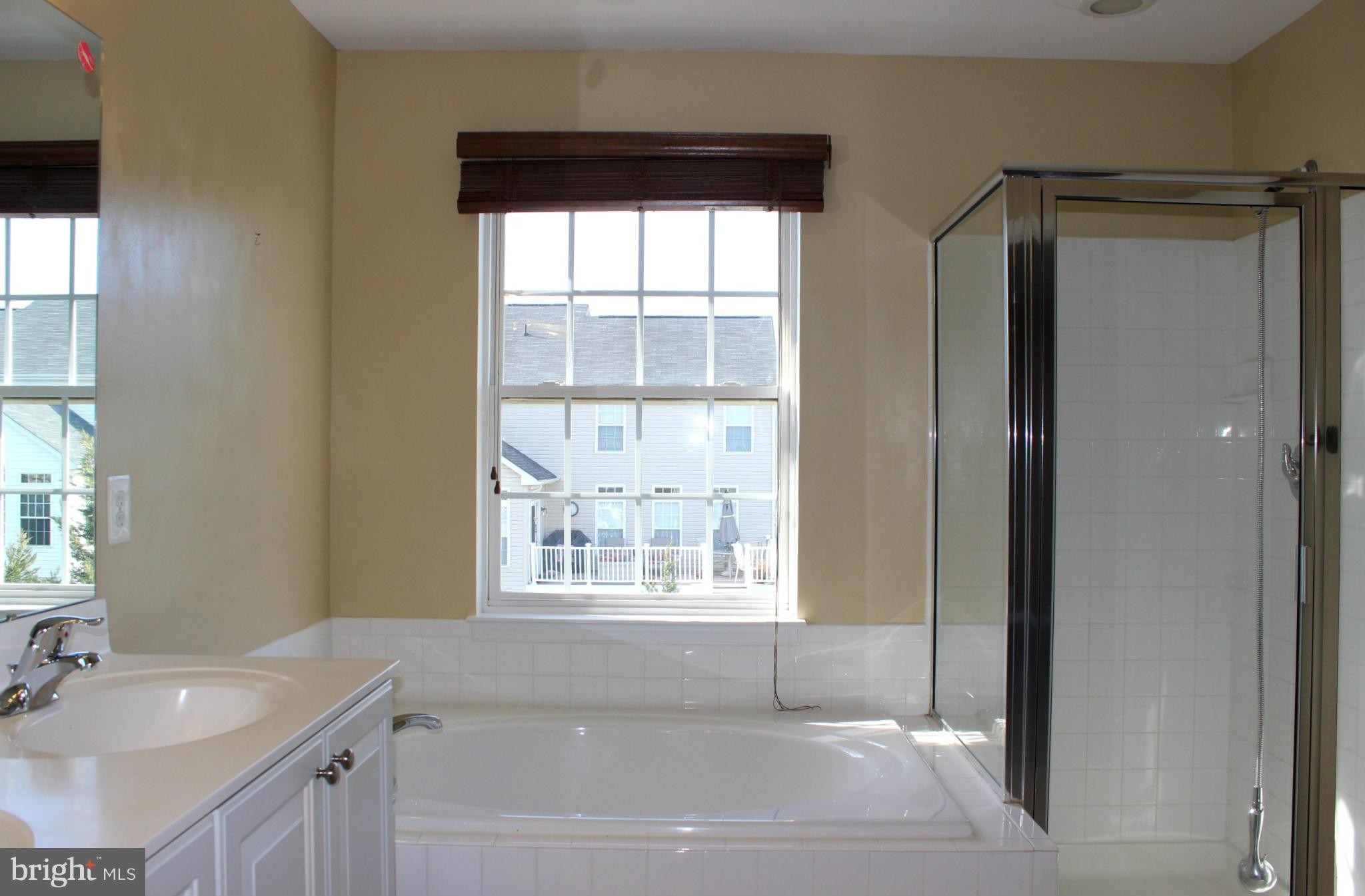 1319 Steed Street Ranson, WV 25438 - Photo 18 of 22 a bathroom with a tub sink and window