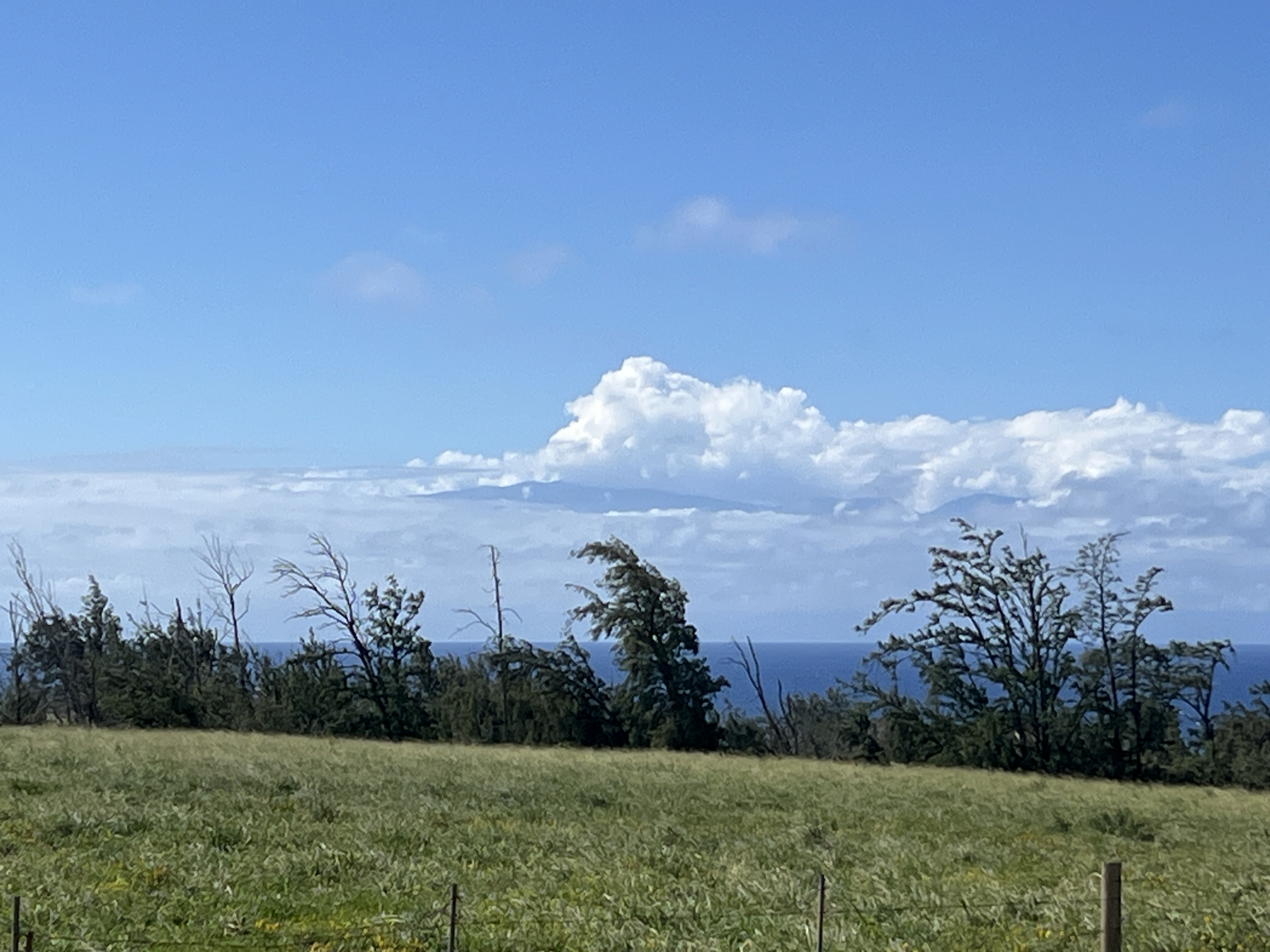 1 Uli Road Kapaau, HI 96755 - Photo 4 of 14