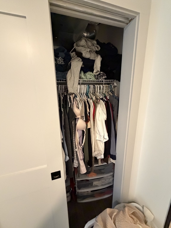 5 West Dane Street, Unit 7 Beverly, MA 01915 - Photo 8 of 14 a view of walk in closet