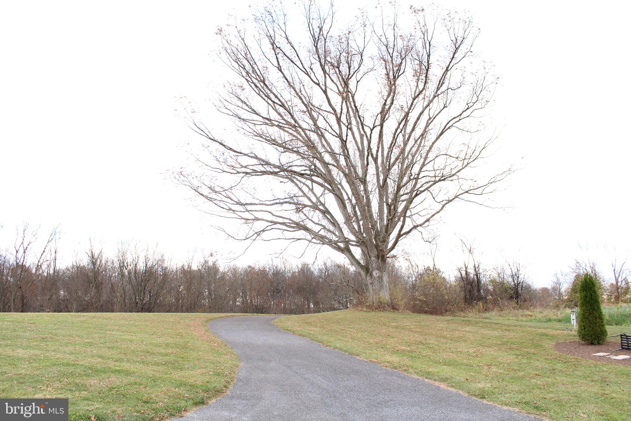 Lot 2 Farm View Drive Westminster, MD 21157 - Photo 12 of 44 a view of a field with trees in the background
