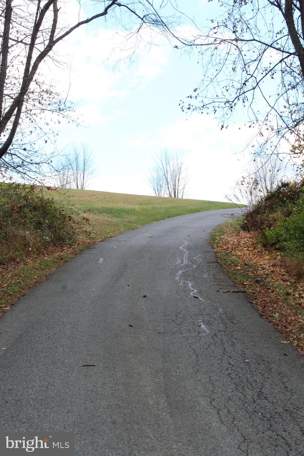 Lot 2 Farm View Drive Westminster, MD 21157 - Photo 14 of 44 a view of yard with large tree