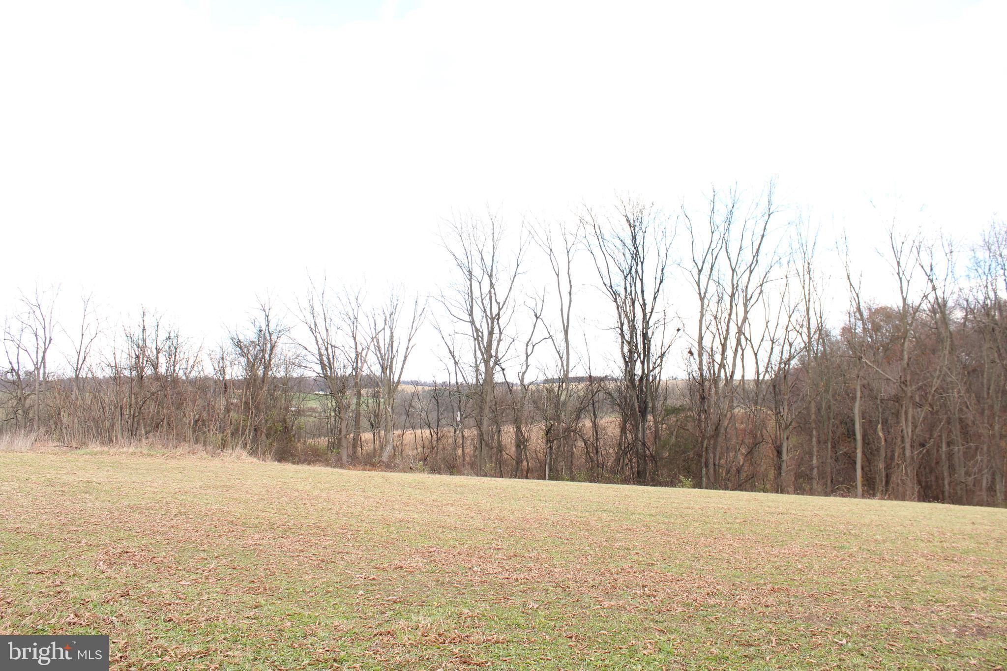 Lot 2 Farm View Drive Westminster, MD 21157 - Photo 16 of 44 a view of a yard with trees in the background