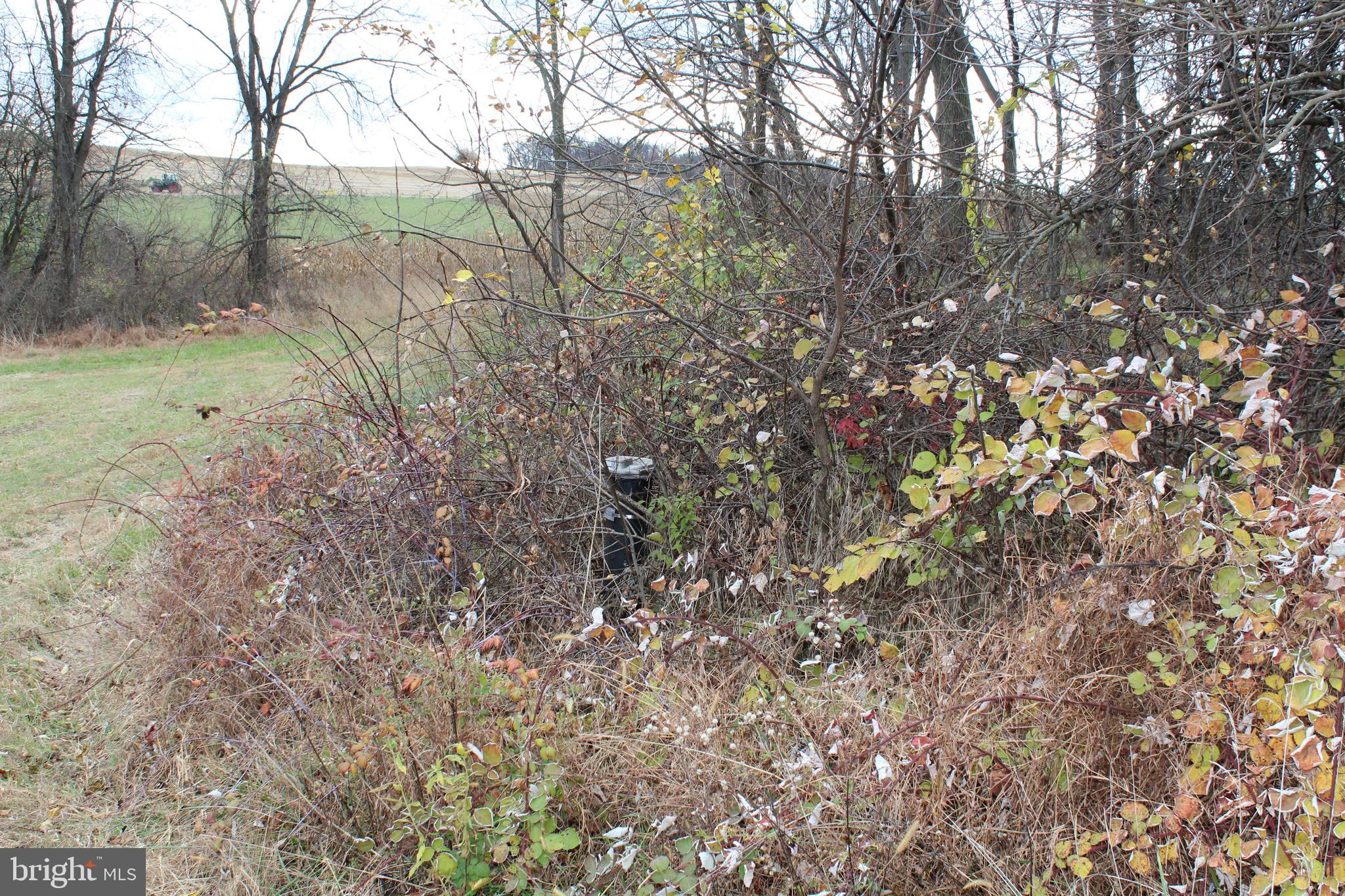 Lot 2 Farm View Drive Westminster, MD 21157 - Photo 43 of 44 a view of a forest with trees in the background